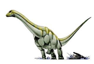 Ohmdenosaurus